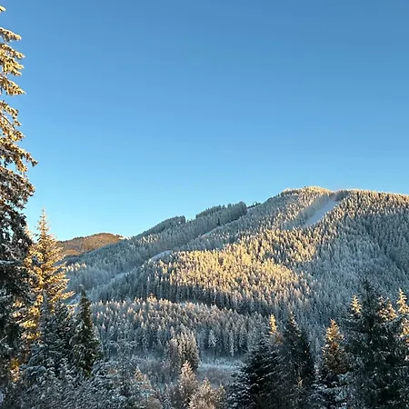 Apartman Natalie - Panorama 2 Mit Bergblick, *