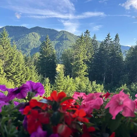 Natalie - Panorama 2 Mit Bergblick, Apartman Semmering